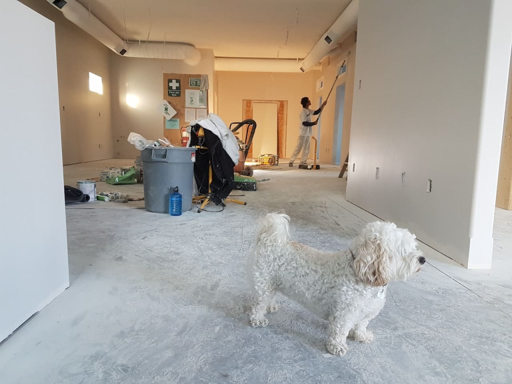 construire sa maison seul